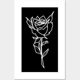 White rose 1 Posters and Art